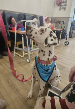 A Heartwarming Morning of Pet Therapy with Purdy! 🥹🐾