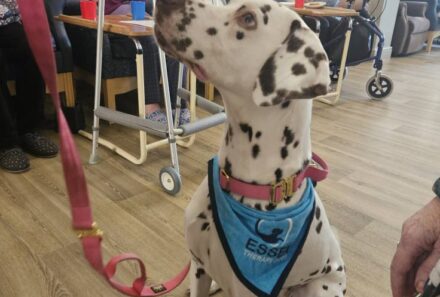 A Heartwarming Morning of Pet Therapy with Purdy! 🥹🐾