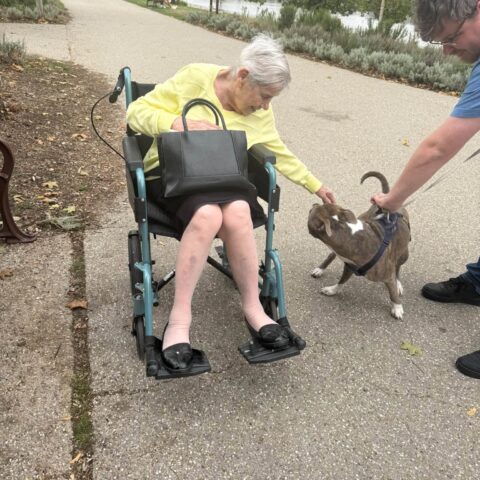 Resident greeting a friendly dog during an outdoor park visit