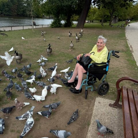 Resident enjoying time outdoors with pigeons and geese during a park outing