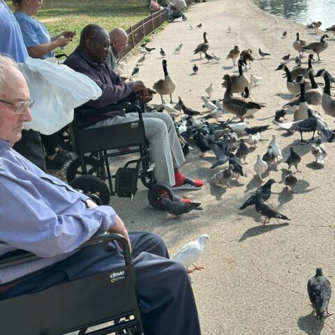 Residents and care team members gathered by the lake feeding birds