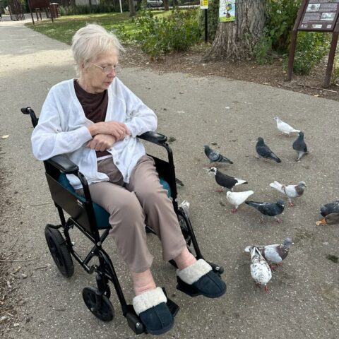 Resident seated outdoors watching pigeons during a park visit