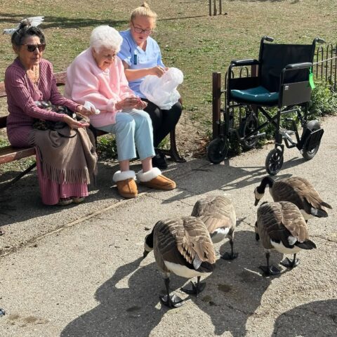 Residents and a care team member seated on a park bench with geese nearby