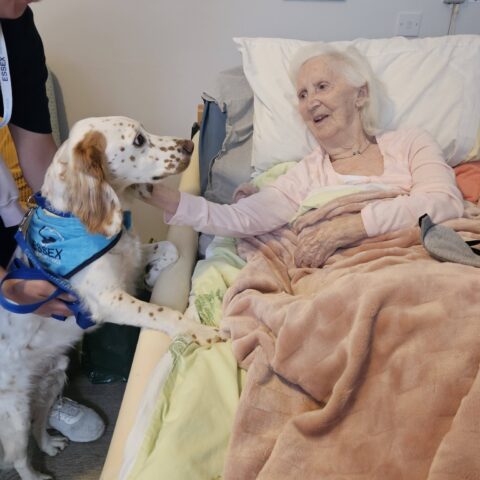 Photo displayed in the Nightingale Care Home gallery