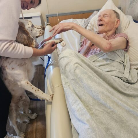 Photo displayed in the Nightingale Care Home gallery