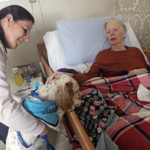 Photo displayed in the Nightingale Care Home gallery