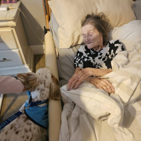 Photo displayed in the Nightingale Care Home gallery