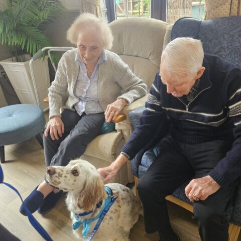 Photo displayed in the Nightingale Care Home gallery