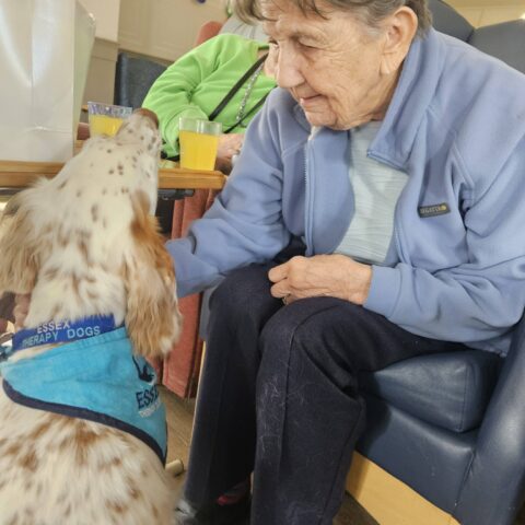 Photo displayed in the Nightingale Care Home gallery