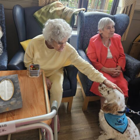 Photo displayed in the Nightingale Care Home gallery