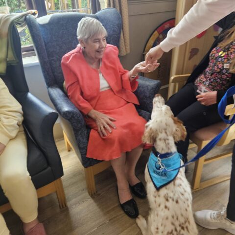 Photo displayed in the Nightingale Care Home gallery