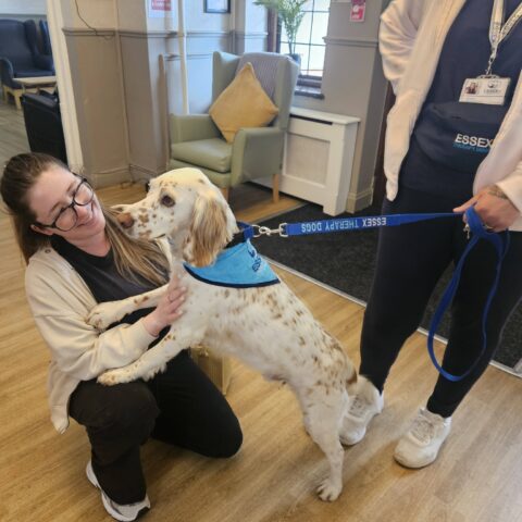 Photo displayed in the Nightingale Care Home gallery