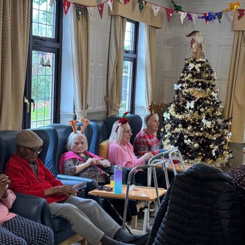 Residents seated together in a decorated lounge beside a Christmas tree