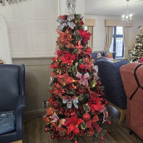 Festive Christmas scene at Nightingale House care home