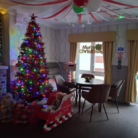 Colourful Christmas tree beneath red and white ceiling decorations in the lounge
