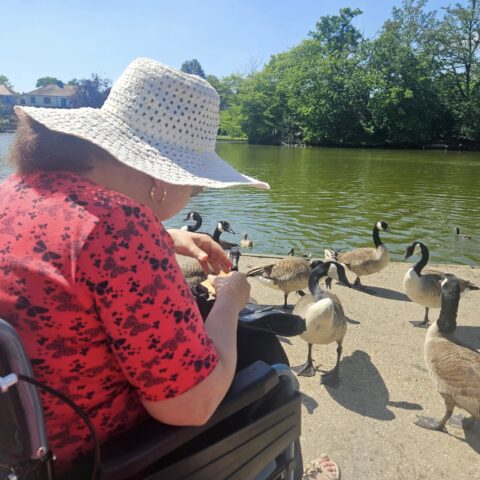 Residents from Nightingale Care Home enjoying a memorable park outing