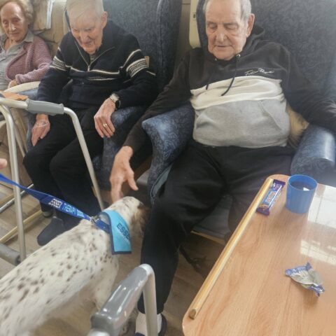 Seated resident smiling while a friendly spotted dog visits beside their chair