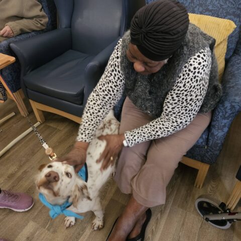 Resident seated in the lounge gently stroking a small dog wearing a blue harness