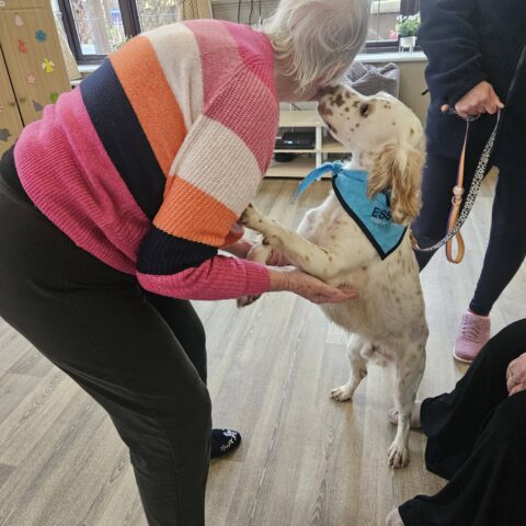 Person greeting a friendly visiting dog during pet therapy at Nightingale Care Home