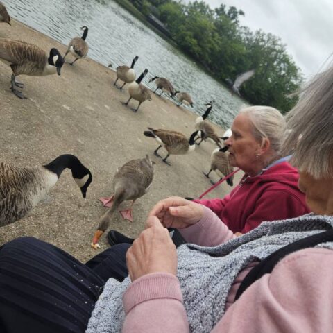 Resident enjoying a pet therapy visit at Nightingale Care Home