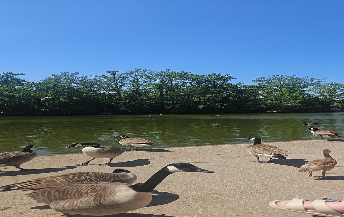 Ingeborg and Maureen Enjoyed Their Trip to the Park
